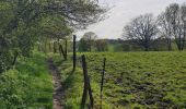 Randonnée Marche Chaumont-Gistoux - Dion-le-Mont - Bonlez - Photo 1