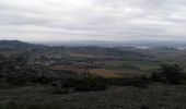 Trail Walking Conilhac-Corbières - CONILHAC - lausines - Photo 10