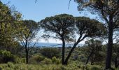 Trail Walking Roquebrune-sur-Argens - REV Château Vaudois les petites Maures - Photo 6