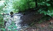 Tour Wandern Étalle - Montauban  - Photo 2