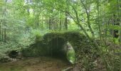 Tour Wandern Vulaines-sur-Seine - De Vulaines sur seine à Livry sur Seine - Photo 6