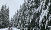 Trail Walking Saint-Hubert - St Hubert - La Borne - Photo 20