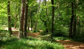 Trail Walking Saint-Crépin-aux-Bois - en forêt de Laigue_3_07_2019_La Malmère_Les Croisettes_Monts du Rond Buisson et des Châtillons - Photo 18