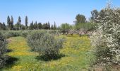 Tour Wandern Tarascon - CR_Domitia_BA_23_Tarascon_St-Remy-Provence_20220404 - Photo 3