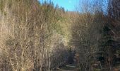 Tour Wandern Hohenfels - Engreux - Confluent des deux Ourthes var. - Photo 18