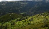 Tour Wandern Andon - Andon - Pk Pont du Loup - Le Castellaras - Château des 4 Tours - Photo 1