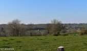 Tour Wandern Herve - 20200326 - Xhendelesse 5.6 Km - Valide - Photo 10