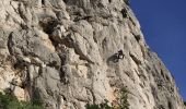 Excursión Senderismo Le Revest-les-Eaux - Les hauteurs de La ripelle - Le revest Les eaux - Photo 10