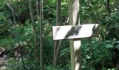 Randonnée Marche Chaumont-Gistoux - Chaumont Gistoux - Photo 6