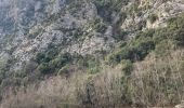 Tour Wandern La Palud-sur-Verdon - La colle de l’olivier - réserve de St Maurin - Photo 9