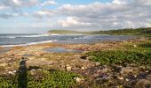 Tocht Stappen Le Moule - Pointe Conchou - Porte d'Enfer - Photo 7