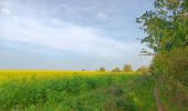 Tocht Stappen Comblain-au-Pont - oneux . comblain-la-tour . oneux - Photo 5