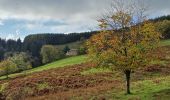 Randonnée A pied High Peak - Derwent Dam Green Route - Photo 1