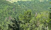 Percorso Marcia Bourbach-le-Haut - Col du Hundsruck Col de Rimbach - Photo 6