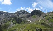 Tour Zu Fuß Tujetsch - Oberalppass - Lai da Tuma - Photo 8