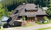 Tocht Stappen Feldberg - Feldsee & Feldberg - Photo 1