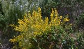 Trail Walking Le Castellet - SityTrail - 2361987 - begude - Photo 3