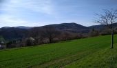 Tour Wandern Sentheim - Sentheim Rammersmatt Bourbach/Bas - Photo 5