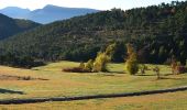 Trail Walking Castellane - Castellane - Chapelle St Thyrs - Petit Robion - Sommet Robion - Gorges du Rayaup - Photo 5