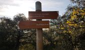 Tour Wandern Lieuran-Cabrières - Balcons volcaniques - Photo 18