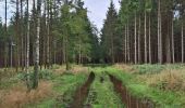 Tocht Stappen Martelange - Martelange, Radelange, Forêt d’Anlier - Photo 7