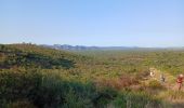 Trail Walking Roquebrune-sur-Argens - l'olivier  - Photo 1