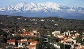 Tour Wandern Laroque-des-Albères - 66 LAROQUE DES ALBERES (06/10/2016 -Sigi) - Photo 1