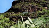 Trail On foot San Sebastián de la Gomera - Ruta 31 - Photo 3