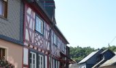 Tour Zu Fuß Ohlweiler - Traumschleife Domblick - Photo 1