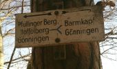 Trail On foot Reutlingen - Gönningen-Hochwiesen Pfullinger Berg - Photo 6