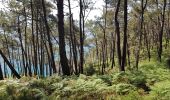 Trail Walking Crozon - FINISTÈRE-  CAP de la CHÈVRE  - Photo 3