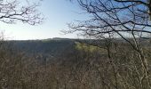 Excursión Senderismo Durbuy - Verlaine sur Ourthe balade des crêtes  - Photo 4