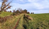 Trail Walking Marche-en-Famenne - Promenade vers le site naturel du fond des vaulx  - Photo 5