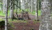 Trail Walking Crots - Abbaye de Boscodon (Hautes Alpes) - Photo 3