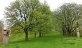 Tour Zu Fuß Speinshart - Speinshart-Barbaraberg - Photo 2