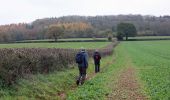 Tocht Te voet Unknown - Corvedale Three Castles Walk - Photo 8