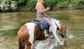 Trail Horseback riding Hériménil - Herimenil baignade Tivio Kenzo tiboy  - Photo 8