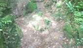 Trail Walking Mouthier-Haute-Pierre - gorges de noailles  - Photo 11
