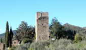 Tour Zu Fuß Gaiole in Chianti - Trekking tra i castelli 2 - Photo 4