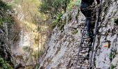 Tour Wandern Joucas - Gorges de Véroncle Via Joucas - Photo 18