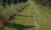 Trail Walking Radicofani - SityTrail - RADICOFANI   /  ACQUAPENDENTE - Photo 5