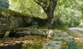 Tour Wandern Saignon - Saignon, Auribeau, Castellet & Rocher des Abeilles - Photo 1