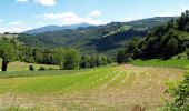 Tocht Te voet Canossa - Mulino di Chichino - Scalucchia - Spigone - Predella - Gazzolo - Cerreggio - Taviano - Photo 7