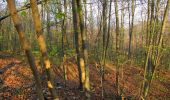 Trail Walking Vieux-Moulin - en forêt de Compiègne_26_la Grotte des Ramoneurs_Tournantes de la Queue de Saint-Etienne et sur la Côte de Roilaye - Photo 19