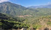 Randonnée Marche Vernet-les-Bains - Tour de Goa - Vernet les Bains -Pyrénées Orientales - Photo 7