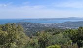 Trail Walking Sainte-Maxime - circuit panoramique Ste Maxime - Photo 6