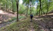 Trail Walking Viroinval - Olloy sur Viroin 23 km - Photo 12