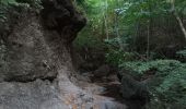 Randonnée Marche Anse d'Arlet - Ravin d'Anse Noire - Photo 2