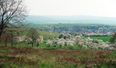 Randonnée A pied Kelbra (Kyffhäuser) - Königspfalz Tilleda -Udersleben - Photo 5