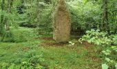 Trail Walking Bœrsch - boucle klingentgahl-heidenkopf-jardin de merlin - Photo 5